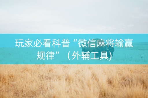玩家必看科普“微信麻将输赢规律”（外辅工具)