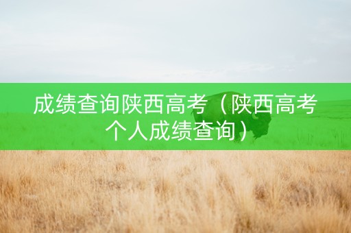 成绩查询陕西高考（陕西高考个人成绩查询）