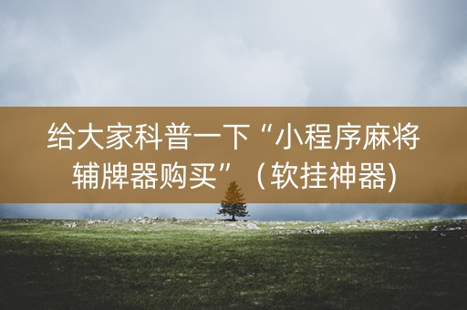 给大家科普一下“小程序麻将辅牌器购买”（软挂神器)