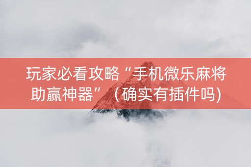 玩家必看攻略“手机微乐麻将助赢神器”（确实有插件吗)