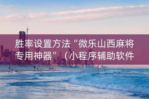 胜率设置方法“微乐山西麻将专用神器”（小程序辅助软件)