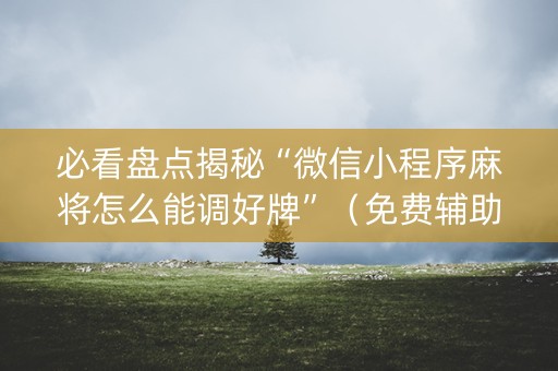 必看盘点揭秘“微信小程序麻将怎么能调好牌”（免费辅助)