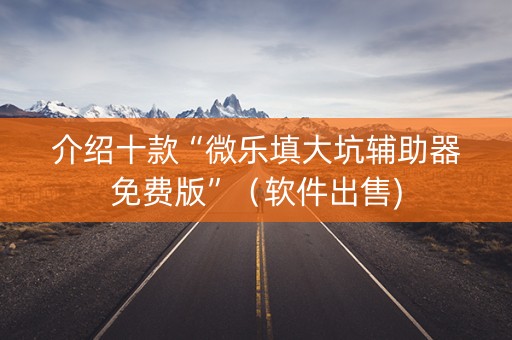 介绍十款“微乐填大坑辅助器免费版”（软件出售)