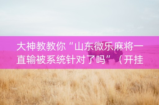 大神教教你“山东微乐麻将一直输被系统针对了吗”（开挂辅助插件)