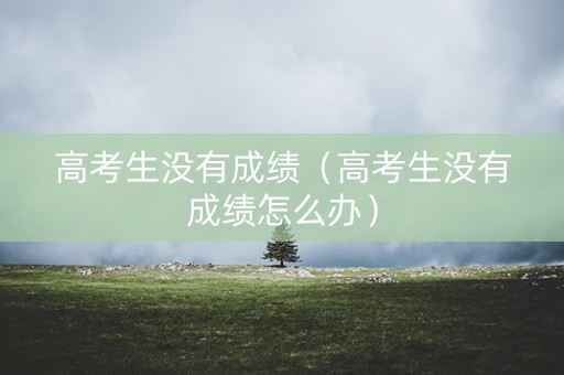 高考生没有成绩（高考生没有成绩怎么办）