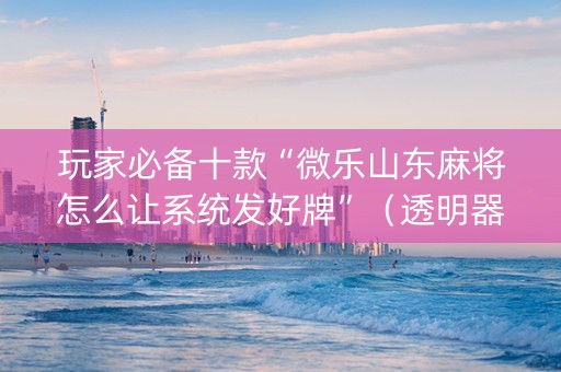 玩家必备十款“微乐山东麻将怎么让系统发好牌”（透明器教程)