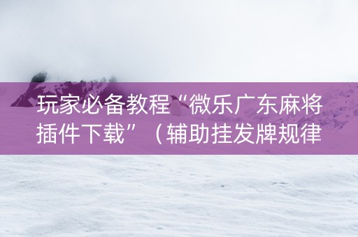 玩家必备教程“微乐广东麻将插件下载”（辅助挂发牌规律)