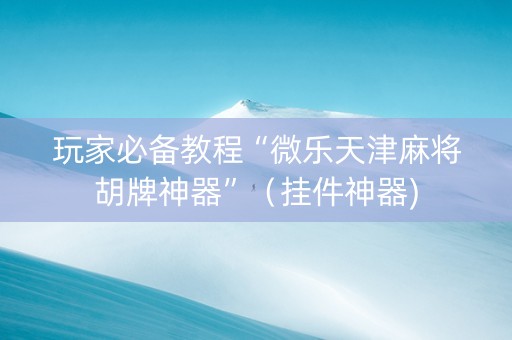 玩家必备教程“微乐天津麻将胡牌神器”（挂件神器)