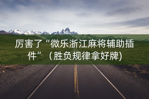 厉害了“微乐浙江麻将辅助插件”（胜负规律拿好牌)
