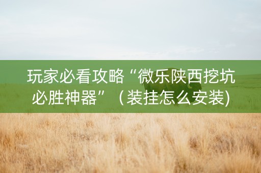 玩家必看攻略“微乐陕西挖坑必胜神器”（装挂怎么安装)
