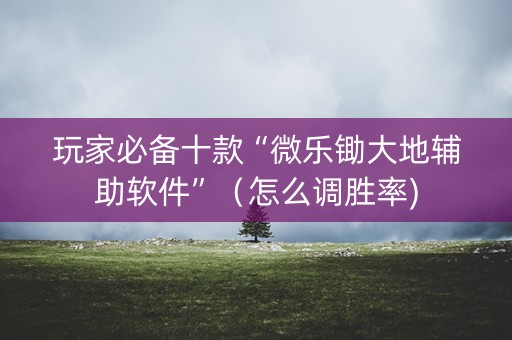玩家必备十款“微乐锄大地辅助软件”（怎么调胜率)