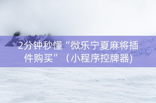 2分钟秒懂“微乐宁夏麻将插件购买”（小程序控牌器)