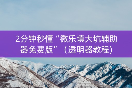2分钟秒懂“微乐填大坑辅助器免费版”（透明器教程)