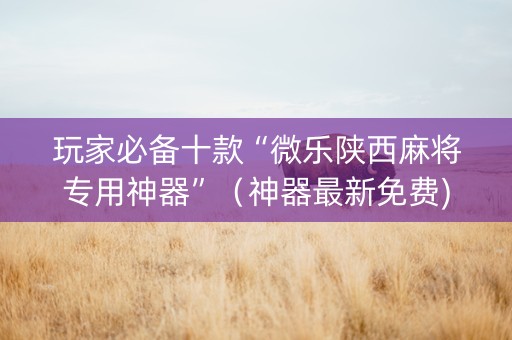 玩家必备十款“微乐陕西麻将专用神器”（神器最新免费)