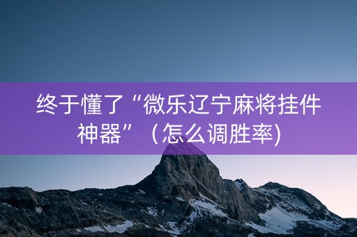 终于懂了“微乐辽宁麻将挂件神器”（怎么调胜率)