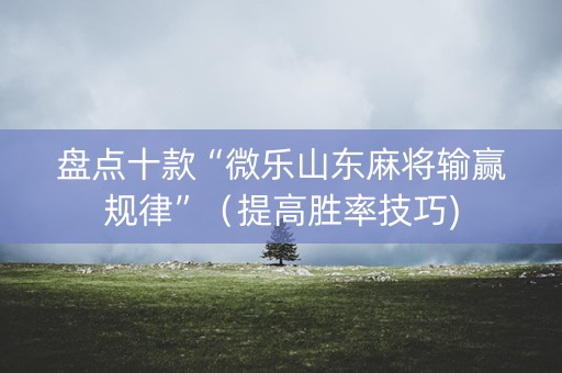 盘点十款“微乐山东麻将输赢规律”（提高胜率技巧)