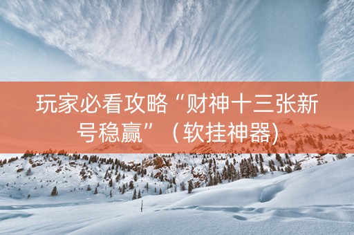 玩家必看攻略“财神十三张新号稳赢”（软挂神器)