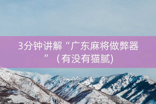 3分钟讲解“广东麻将做弊器”（有没有猫腻)