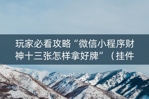 玩家必看攻略“微信小程序财神十三张怎样拿好牌”（挂件神器)
