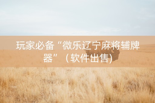 玩家必备“微乐辽宁麻将辅牌器”（软件出售)