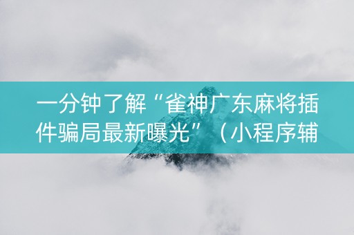 一分钟了解“雀神广东麻将插件骗局最新曝光”（小程序辅助软件)