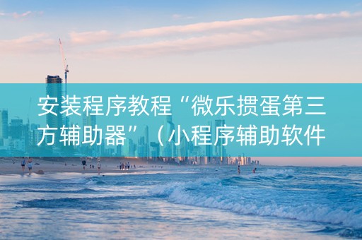 安装程序教程“微乐掼蛋第三方辅助器”（小程序辅助软件)