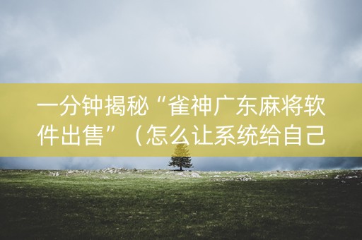 一分钟揭秘“雀神广东麻将软件出售”（怎么让系统给自己好牌)