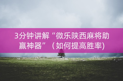 3分钟讲解“微乐陕西麻将助赢神器”（如何提高胜率)