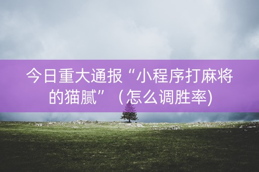 今日重大通报“小程序打麻将的猫腻”（怎么调胜率)