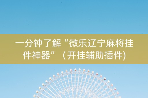 一分钟了解“微乐辽宁麻将挂件神器”（开挂辅助插件)