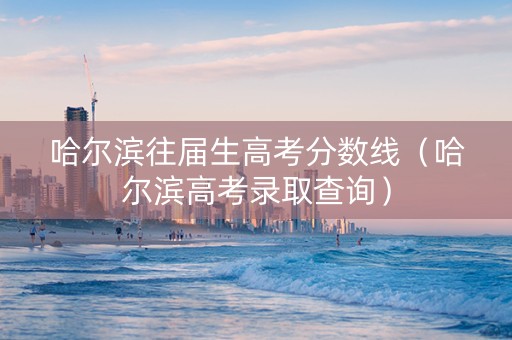 哈尔滨往届生高考分数线（哈尔滨高考录取查询）