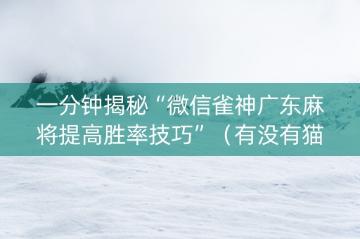 一分钟揭秘“微信雀神广东麻将提高胜率技巧”（有没有猫腻)
