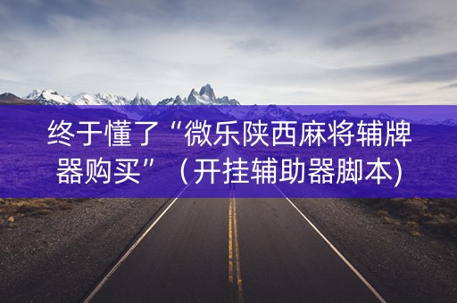 终于懂了“微乐陕西麻将辅牌器购买”（开挂辅助器脚本)