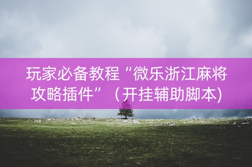 玩家必备教程“微乐浙江麻将攻略插件”（开挂辅助脚本)