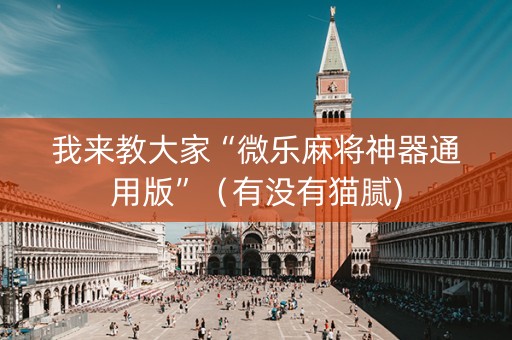 我来教大家“微乐麻将神器通用版”（有没有猫腻)