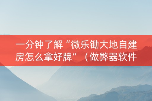 一分钟了解“微乐锄大地自建房怎么拿好牌”（做弊器软件下载)