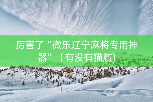 厉害了“微乐辽宁麻将专用神器”（有没有猫腻)