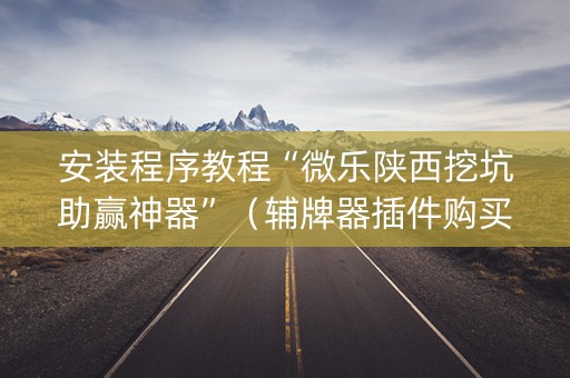 安装程序教程“微乐陕西挖坑助赢神器”（辅牌器插件购买)