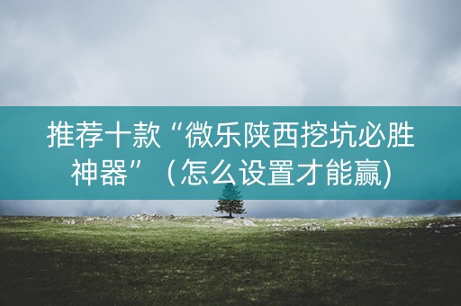 推荐十款“微乐陕西挖坑必胜神器”（怎么设置才能赢)
