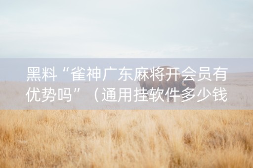 黑料“雀神广东麻将开会员有优势吗”（通用挂软件多少钱)