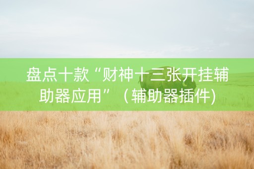 盘点十款“财神十三张开挂辅助器应用”（辅助器插件)