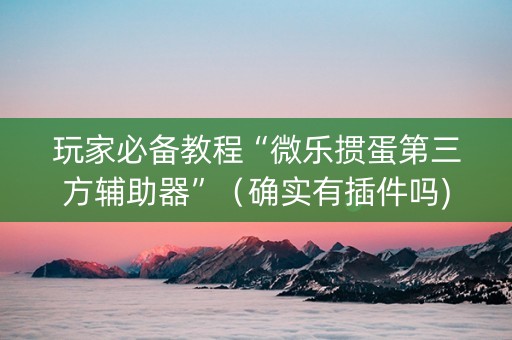 玩家必备教程“微乐掼蛋第三方辅助器”（确实有插件吗)