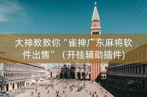 大神教教你“雀神广东麻将软件出售”（开挂辅助插件)