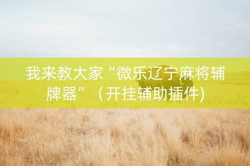 我来教大家“微乐辽宁麻将辅牌器”（开挂辅助插件)