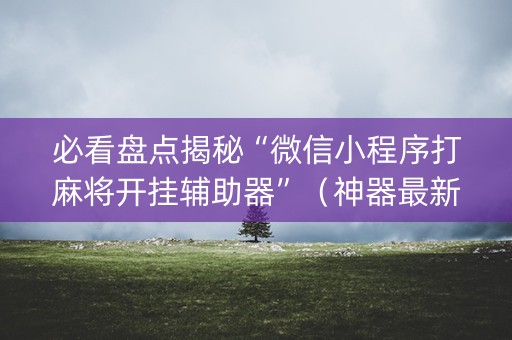 必看盘点揭秘“微信小程序打麻将开挂辅助器”（神器最新免费)