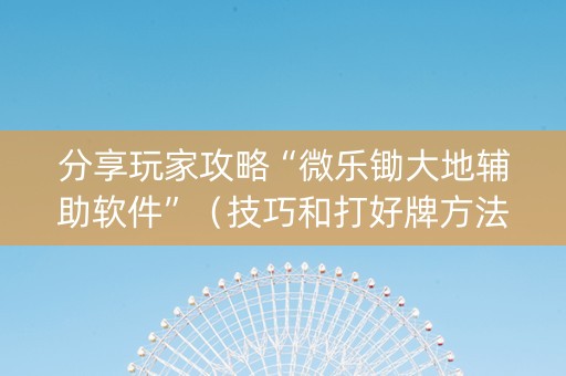 分享玩家攻略“微乐锄大地辅助软件”（技巧和打好牌方法)