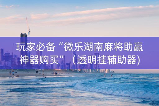 玩家必备“微乐湖南麻将助赢神器购买”（透明挂辅助器)