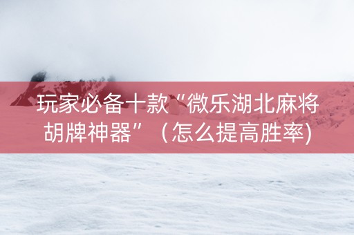 玩家必备十款“微乐湖北麻将胡牌神器”（怎么提高胜率)