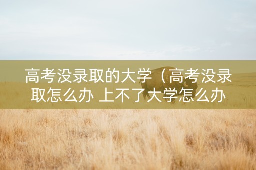 高考没录取的大学（高考没录取怎么办 上不了大学怎么办）