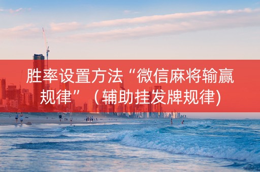 胜率设置方法“微信麻将输赢规律”（辅助挂发牌规律)